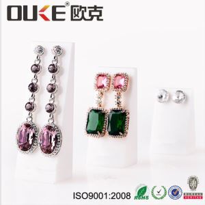 Pengilang adat akrilik yang jelas bentuk paparan blok